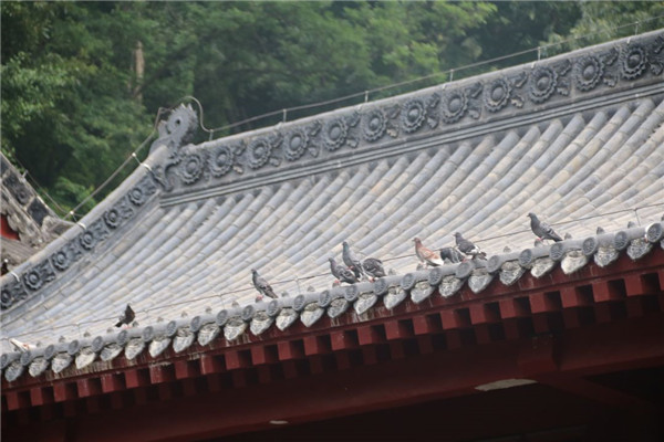 今泰裝飾出游記 | 我們有一千種姿勢玩出精彩！(圖4)