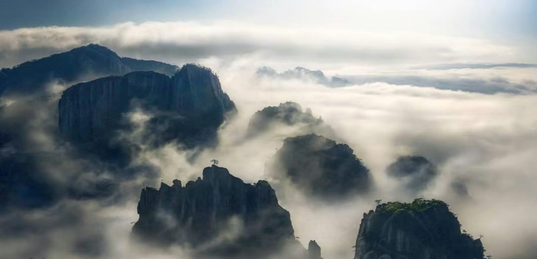 【辦公案例】武漢郎滌，員工的第二個心靈居所(圖4)