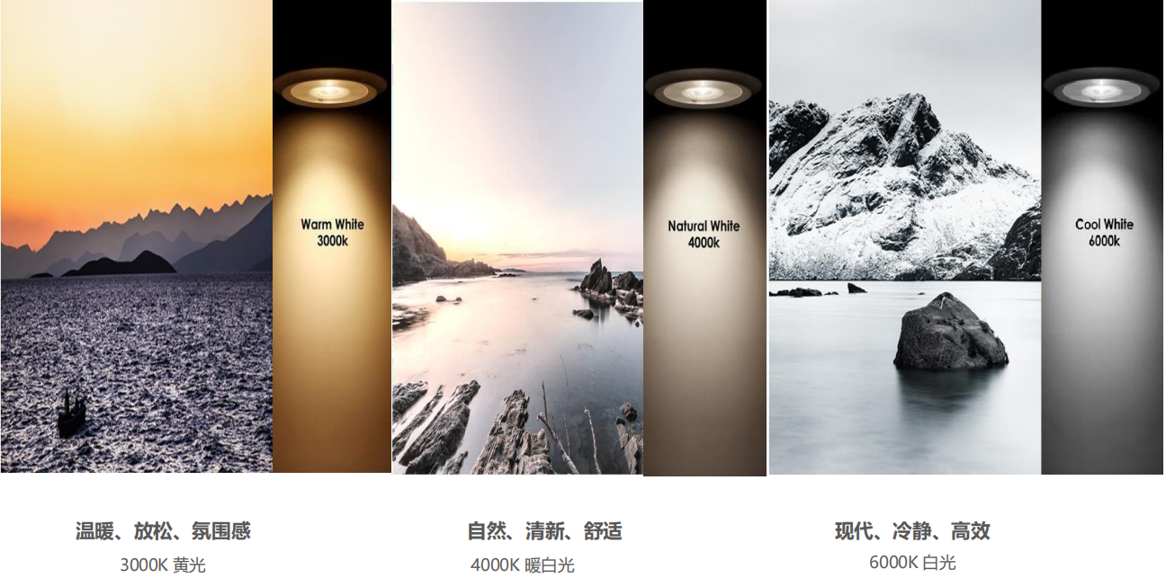 【設(shè)計(jì)案例】普照國康醫(yī)藥辦公室項(xiàng)目概念設(shè)計(jì)——以空間敘事，筑品牌基因(圖26)