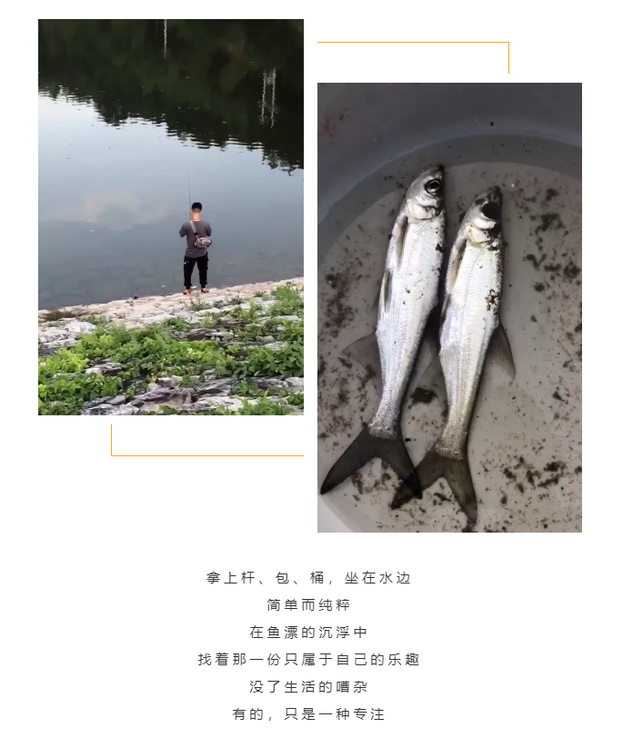 秋天了，來一場(chǎng)成年人的秋游吧(圖5)