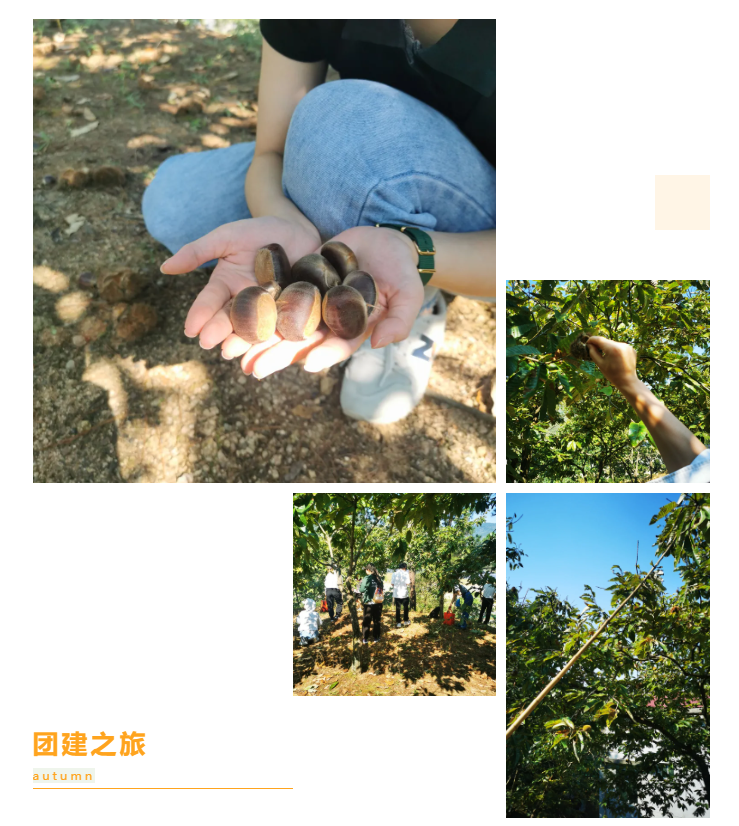 秋天了，來一場(chǎng)成年人的秋游吧(圖6)